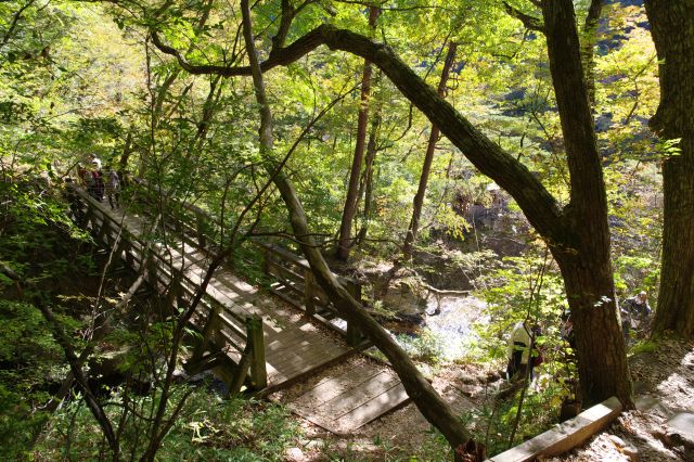 さきほどの分岐に戻り他方の道（左）へ。すぐ斜面を登り橋を見下ろす。