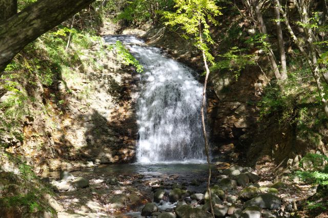 幅がありほぼ均等な量の水が流れて綺麗な滝です。ここで戻るのがお手軽ルートかと思います。