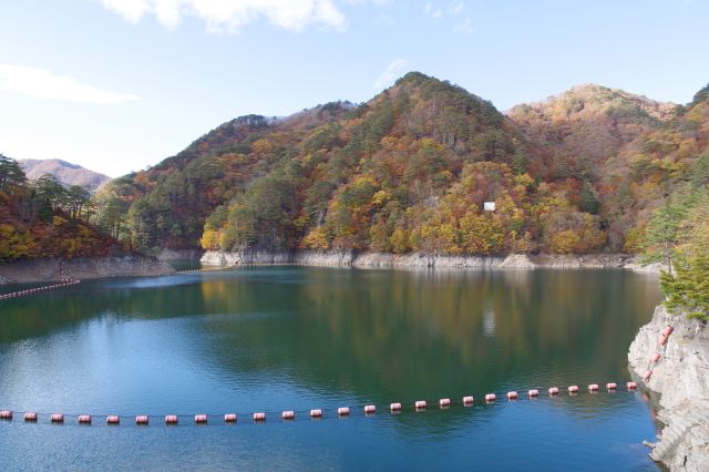 反対側のダム湖を見て落ち着きましょう。