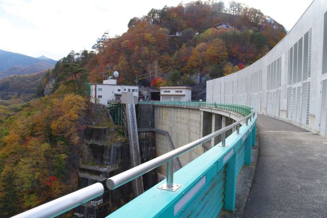 堤を戻ります。