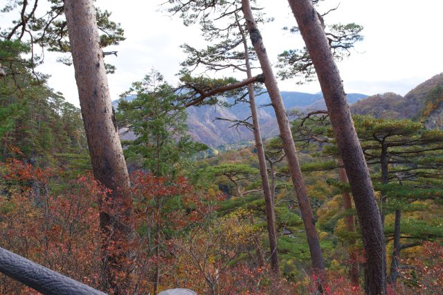 林間から少し山並の景色が見えます。