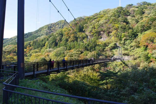 豊かな自然を背景に張られた長い吊り橋。