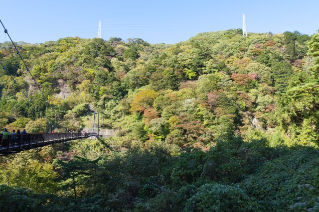 対岸は自然豊かな山です。