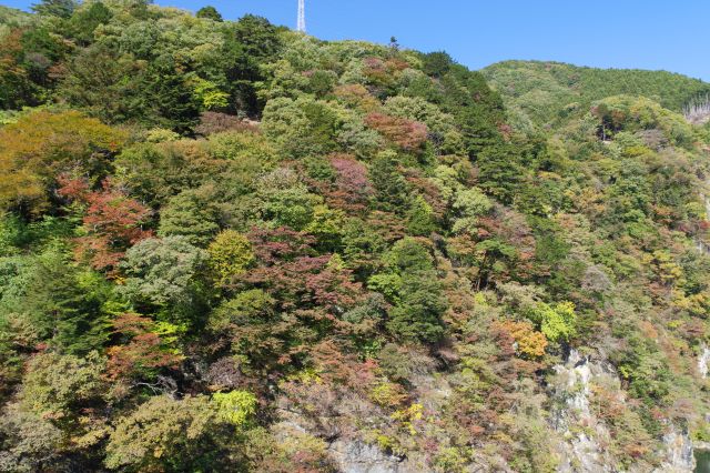 山には緑から赤にかけての木々。