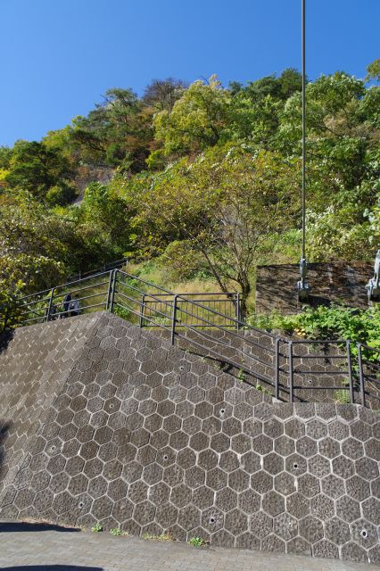 ここからは階段で山を登る順路。