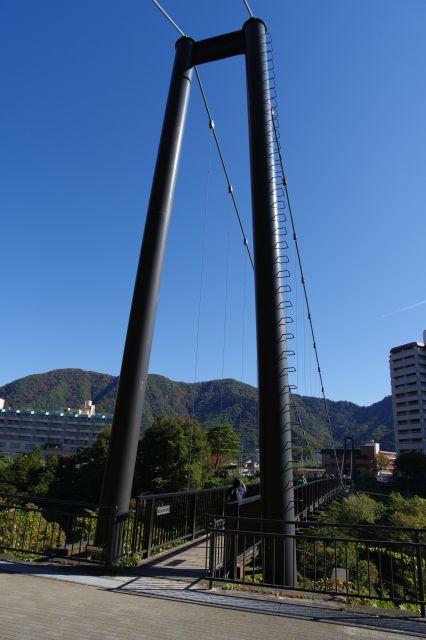 自然の中の大きな吊り橋。