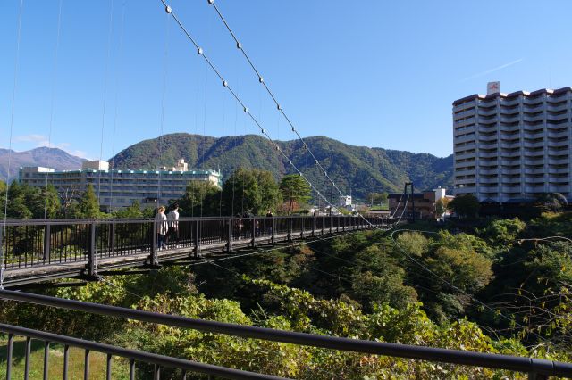 対岸から見る橋。向こう側が開けて遠くに山並。