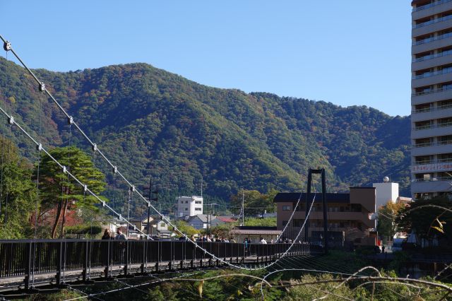 対岸の向こうの山並。