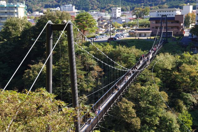 橋を見下ろす高さです。