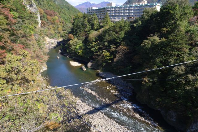 橋を戻ります。