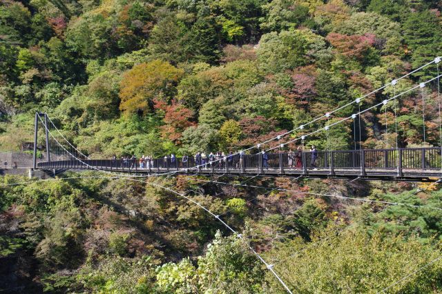 自然の中の大きな吊り橋でした。