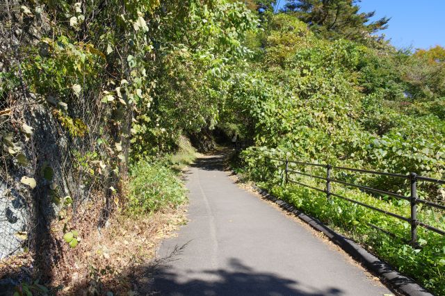 岩肌に沿った緩やかに登る道、緑の葉の音が心地よい。