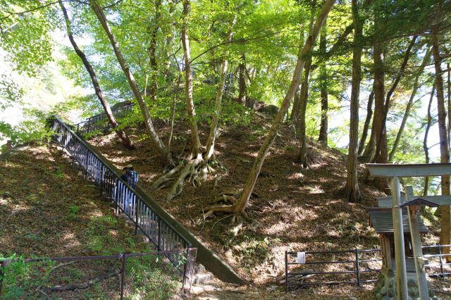 神社の裏手にある岩山の上が展望台です。