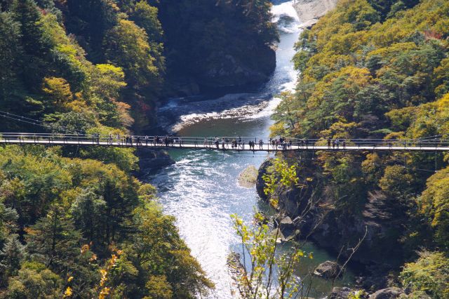 鬼怒川の清流。渡ってきた鬼怒楯岩大吊橋もこんなに下の方に見えます。