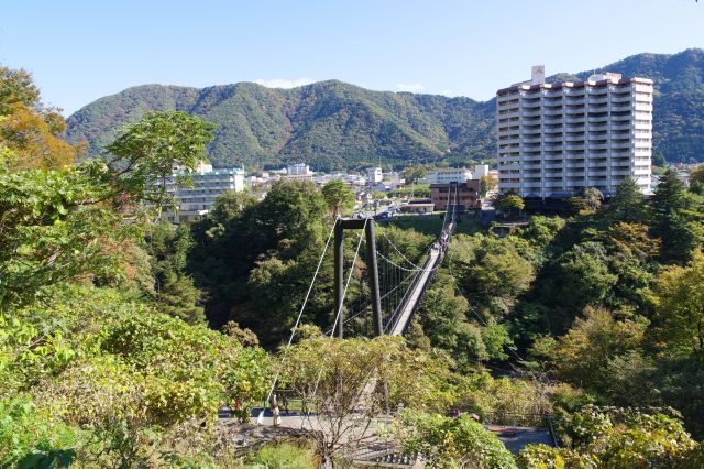 鬼怒楯岩大吊橋を渡ってきました。