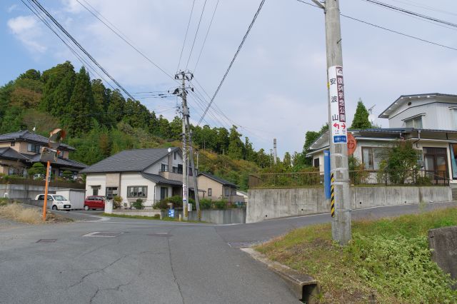 坂を登り安波山との分かれ道、右へ進みます。