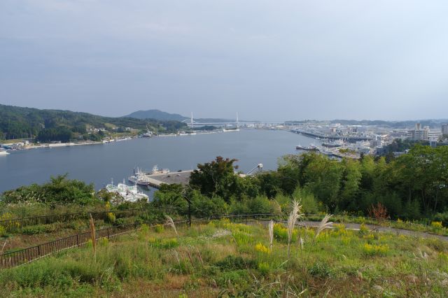 頂上からの眺望。内湾地区が一望できます。船の音が響く今は穏やかな海、津波が押し寄せた当時の様子を静かに偲びます。