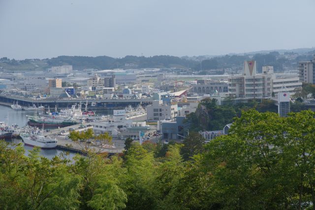 活気を取り戻している漁港や市場、その奥には空き地が広がる。