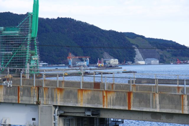 北側の海岸や山の斜面。