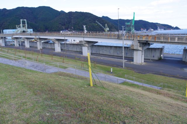 海沿いからグリーンベルトに上がる階段。