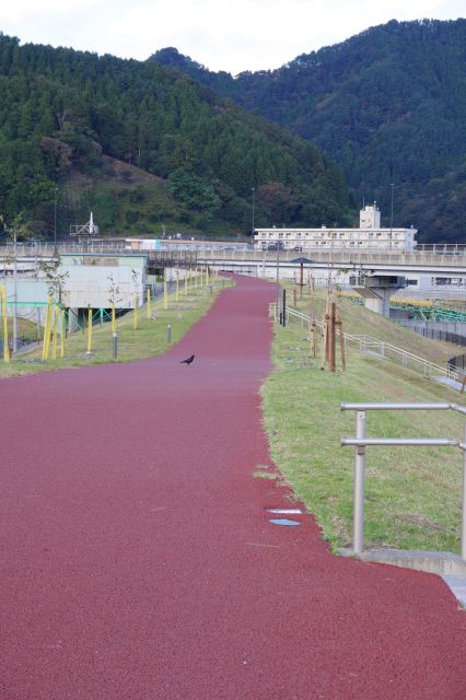 北側へのビルグリーンベルトの道。盛り土自体がもう1つの防潮堤のような役割です。