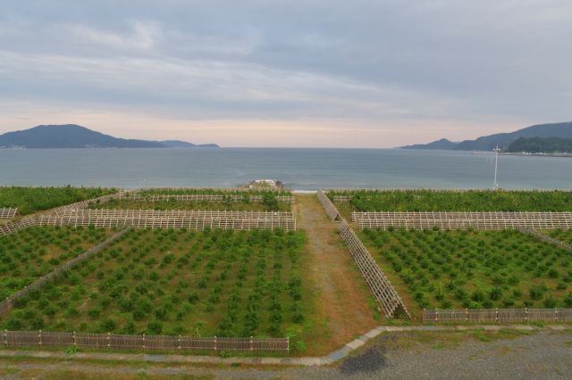 堤防の上から眺める今は静かな海。感じるものがあります。