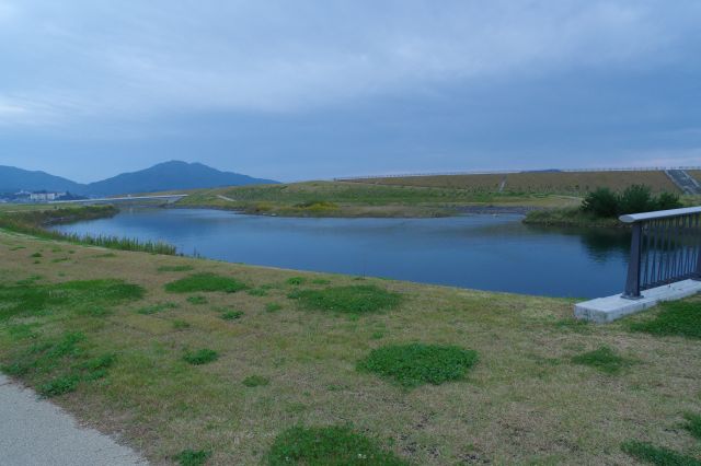 周辺の沼地。