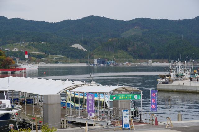 海の雰囲気を楽しみます。