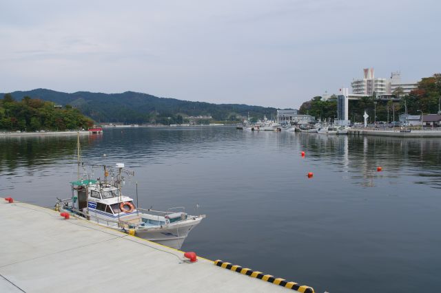 湾の奥の方の風景。