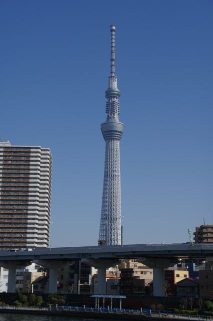 東京スカイツリーがそびえ立つ。