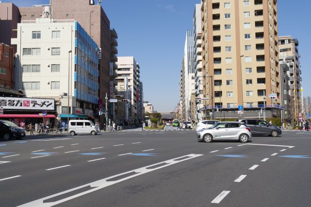 横断歩道より。浅草寺の雷門が見えます。