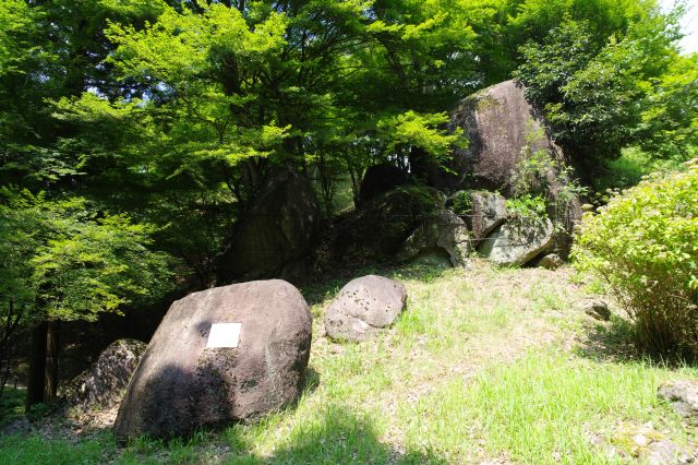 南の丸腰曲輪１。岩があります。