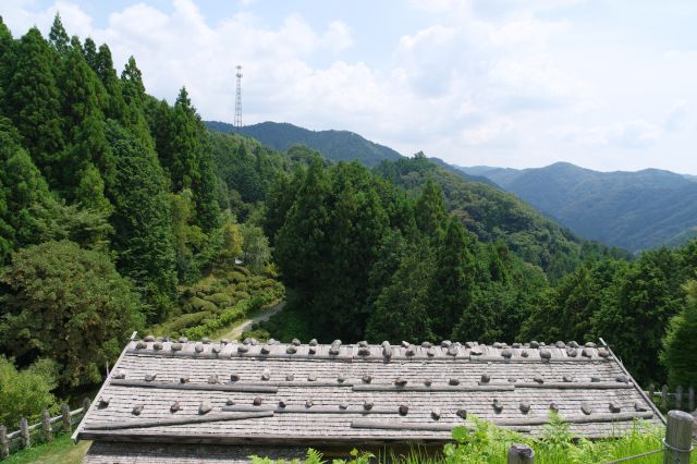 建物の屋根や緑の山々。