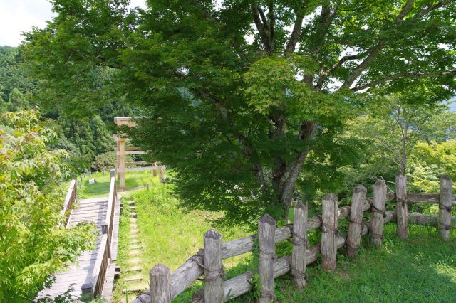 南物見台方面、木が遮ります。