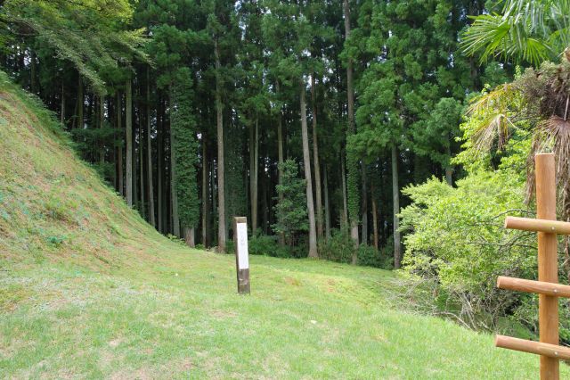 右には無名曲輪。