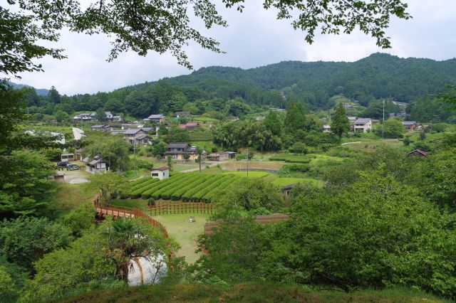 緑あふれる里の眺望が美しい。