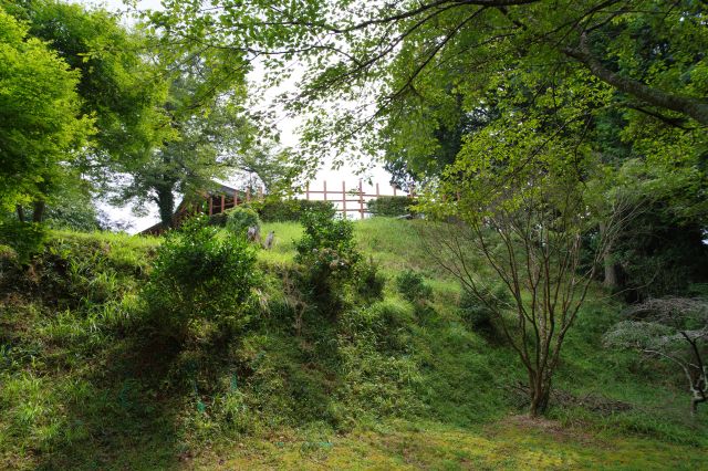 奥まで行って御殿を見上げる。