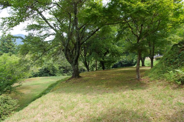 曲輪を振り返る。今は地形だけの状態。