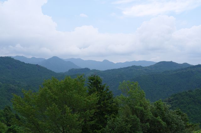 正面の南東側を中心に、人工物がない緑の風景。