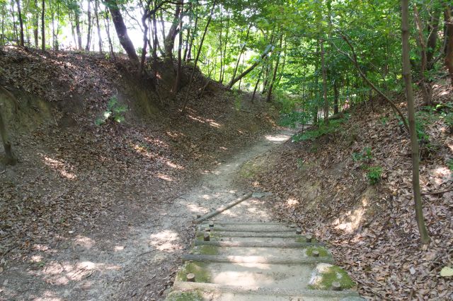 空堀に降りられる道は駐車場に続く。