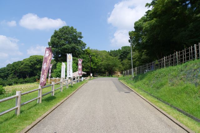 階段の左側の坂へ。陸上ランする人も。