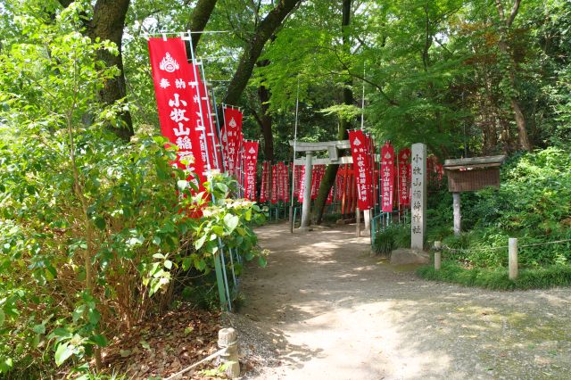 大手道を上って横道に合流すると左手に稲荷神社。