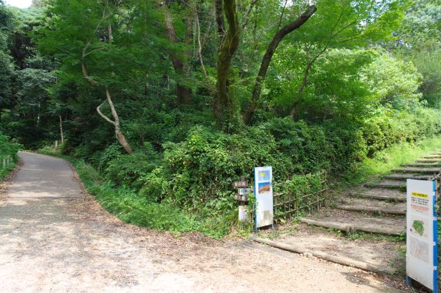 さらに階段を登って行きます。