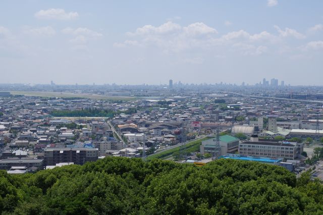 左側、奥にはビル群が連なる。