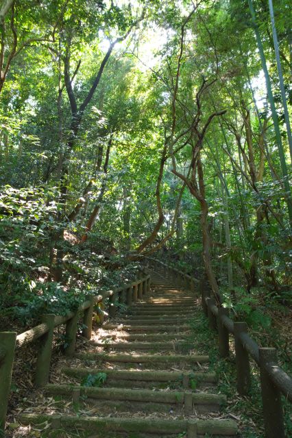 しばらく森の中の階段を登ります。