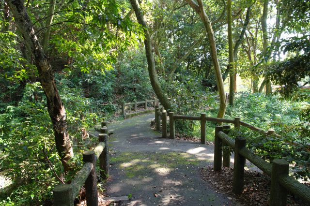 最初の分岐点へ。