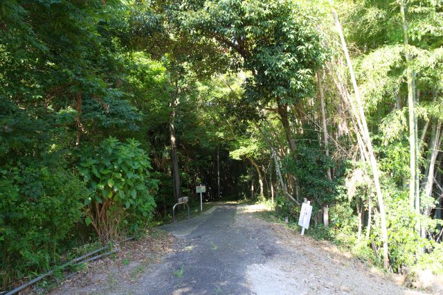 住宅街から入った城域は鬱蒼とした森に一転します。