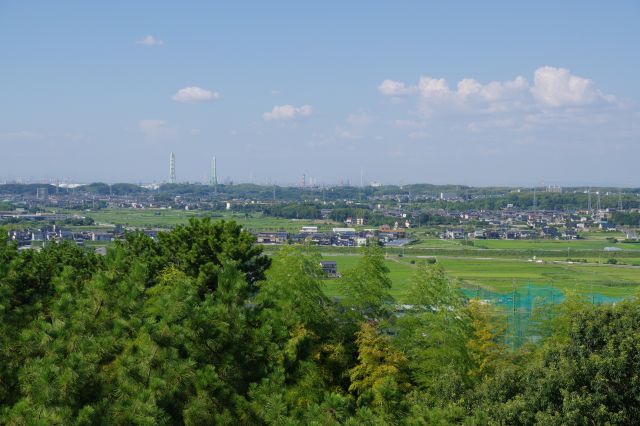 内陸側は緑あふれるのどかな風景。