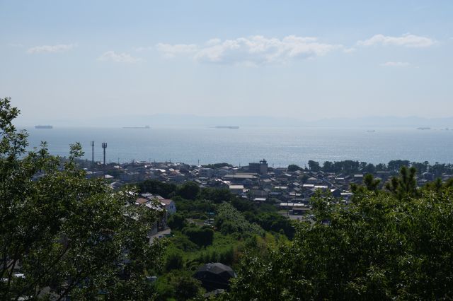 行き交う船。