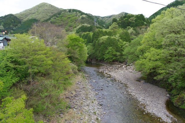 上流方面は緑が多い。